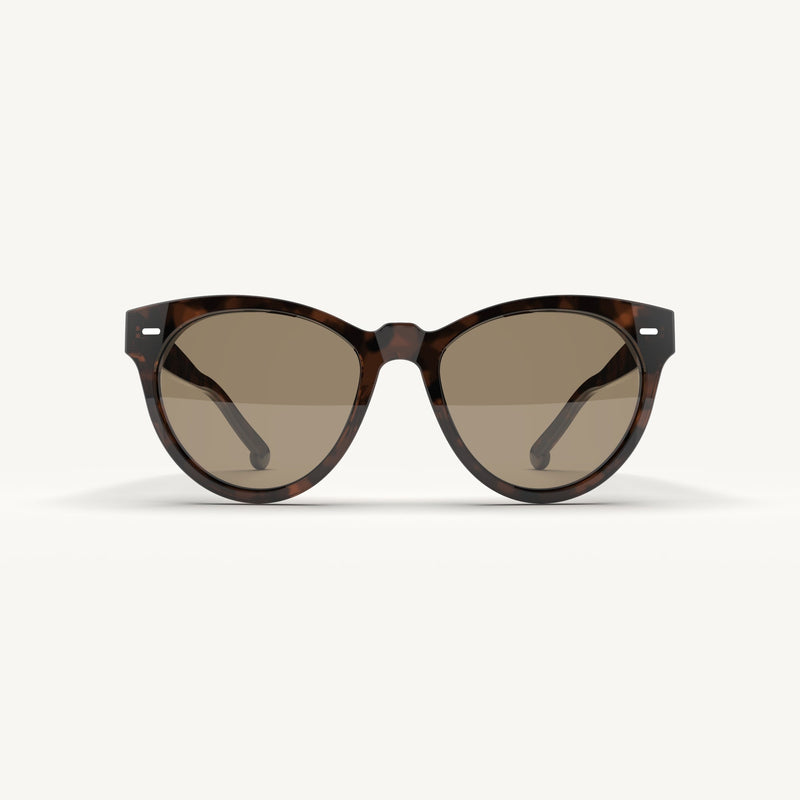 Acetate Sunglasses